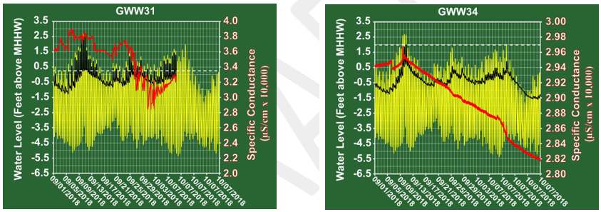 Figure 9b. GWW31 - Zoom View Figure 9c. GWW34 - Zoom View Figure 9b. GWW31 - Zoom View Figure 9c. GWW34 - Zoom View