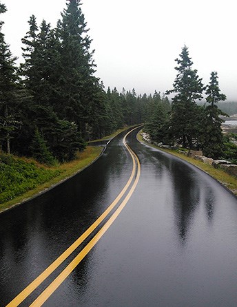 Rainsoaked paved road curving between trees in Acadia National Park.