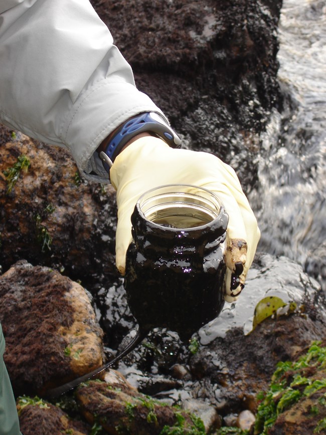 A staff member gathers a sample of spilled oil from a tidepool.