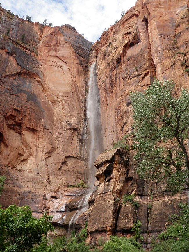 A waterfall cascades down sandstone cliffs within Zion National Park