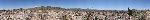 The Palo Verde Trail