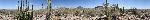 The Desert View Trail