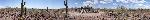 Dos Lomitas Ranch (Blankenship Well)