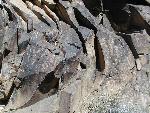 ORPI Petroglyph 2