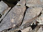 ORPI Petroglyph 3