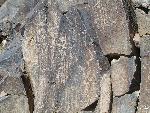 ORPI Petroglyph 4