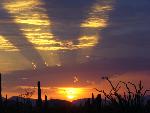 Sunset In Alamo Canyon