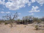 Dos Lomitas Ranch Corral