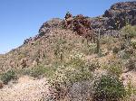 Bull Pasture Trail