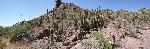 Alamo Canyon Landscape