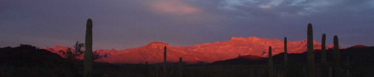 Ajo Mountains at Sunset