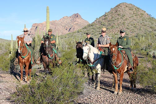 NPS and Border Patrol on Horses