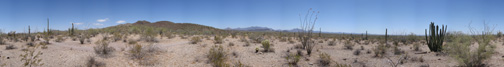 Palo Verde Trail