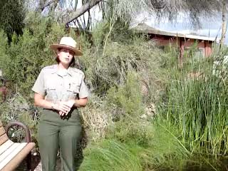 QBQ Pupfish