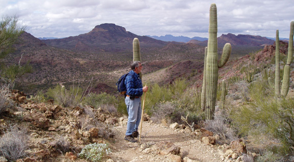 A Hiker On Trail In Organ Pipe