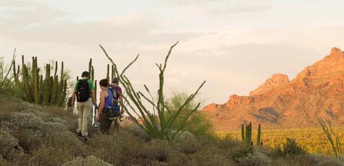 Hikers at Organ Pipe Cactus National Monument