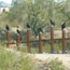 International Border Vehicle Barrier