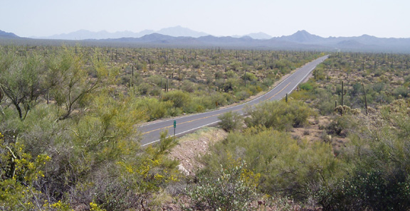 Highway 85 Through The Sonoyta Valley