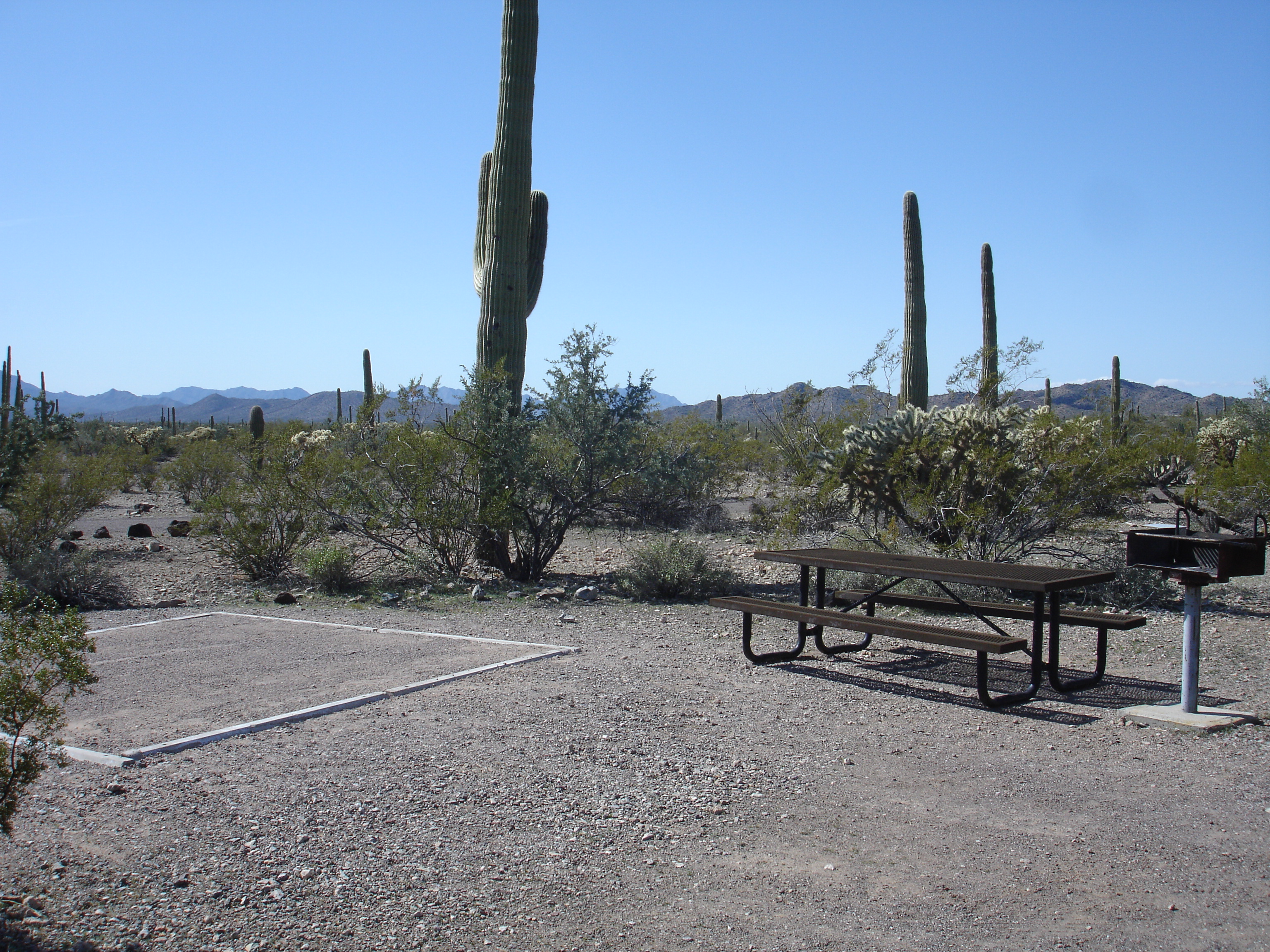 Twin Peaks Campground Tent Site