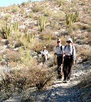  hiking in the desert