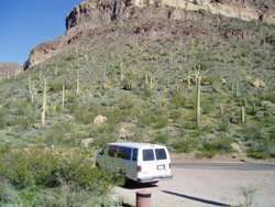 Van tours offered in the winter, allow visitors to experience the Ajo Mountain Drive with a guide.