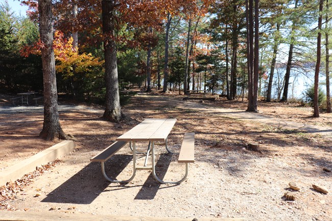 Picnic table in the woods