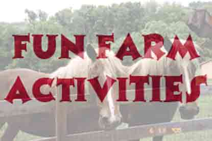 fun farm activities