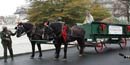 draft horses at White House