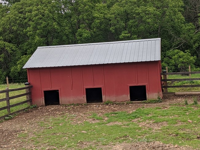 Red wood building with tin roof.  Three openings for the pigs to come and go.