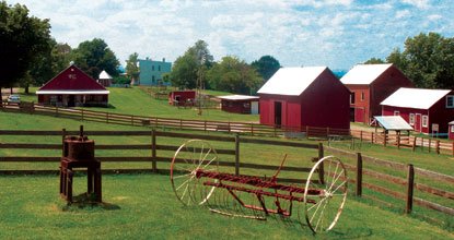 barnyard area scene