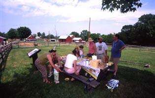 family picnic