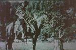 Woman on horseback