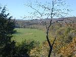 Scenic meadow