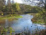 River scene