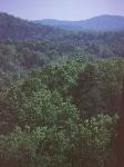 Scenic hills