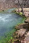 Alley Spring Branch
