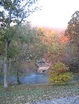 Misty spring