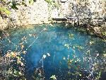 Round Spring
