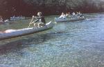 canoes