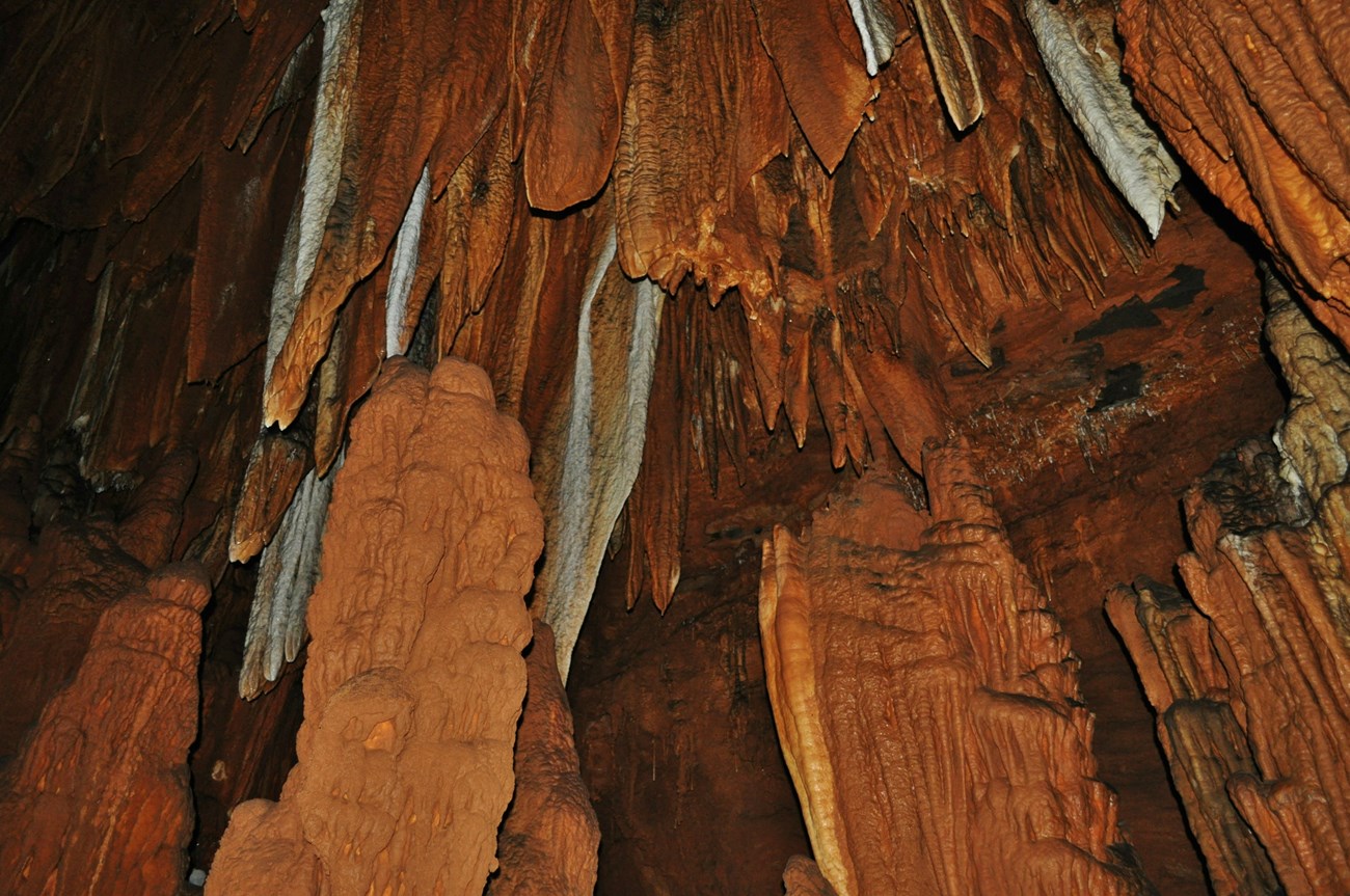 Brown and white formations inside Round Spring Cave