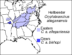 Hellbender range map