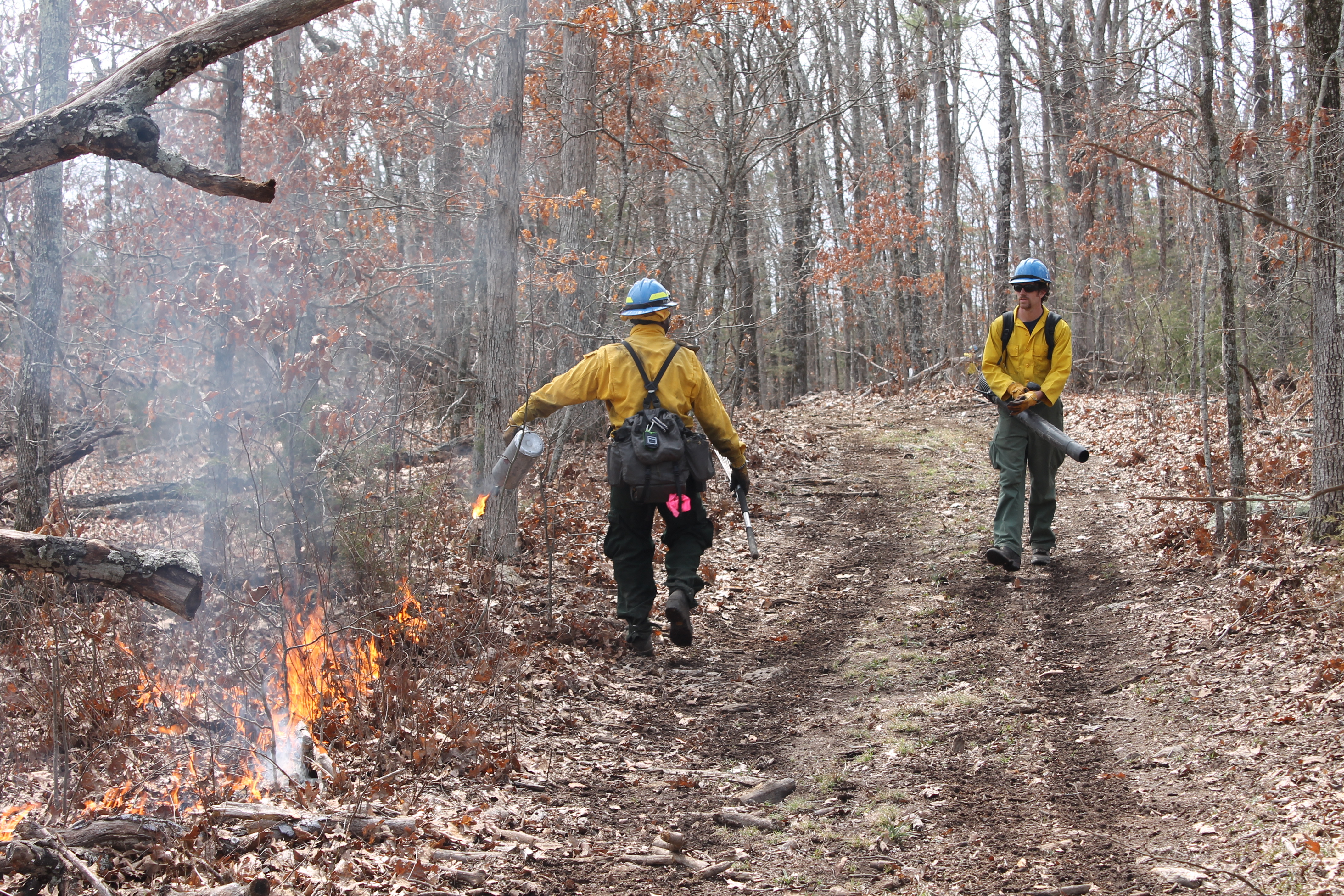 Firefighters working on 2015 Jerktail Mountain burn