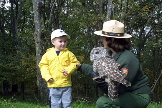 Ranger-with-owl