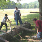 Cross cut saw demonstration