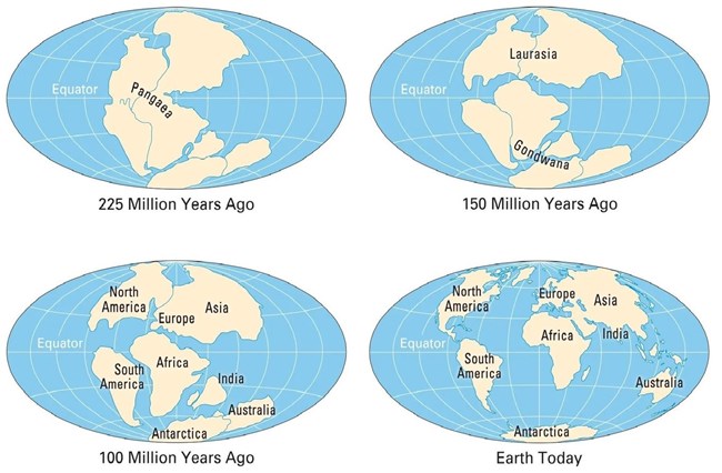 Diagram of the breakup of the supercontinent Pangea into the modern seven continents starting 225 million years ago. 150 million years ago a North-South hemisphere split created Laurasia & Gondwana, which then further split into the modern continents