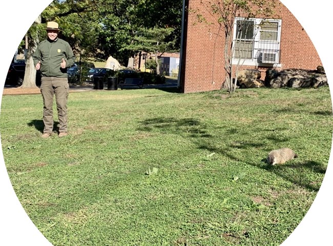 Male park ranger smiling because he is a proper distance away from a groundhog who is grazing on green grass.
