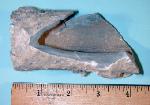 Fulgurite 3