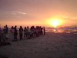 A crowd gathers for a 6:45 a.m. hatchling release.