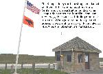 Sea turtle flag