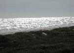 Couple strolling along a wintry Malaquite Beach